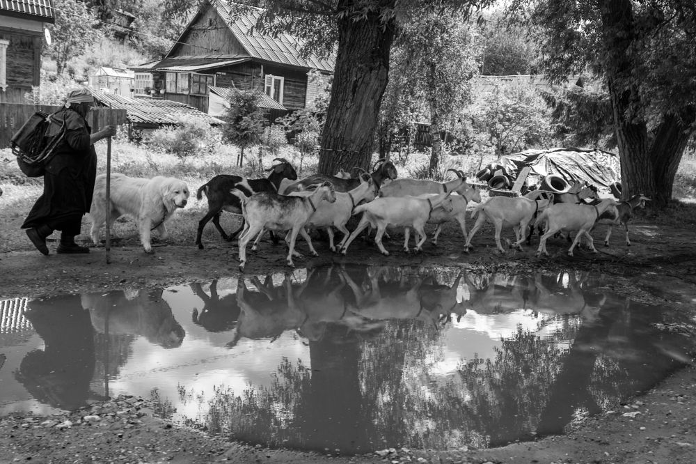 Фотография автора Виталий Подгурченко