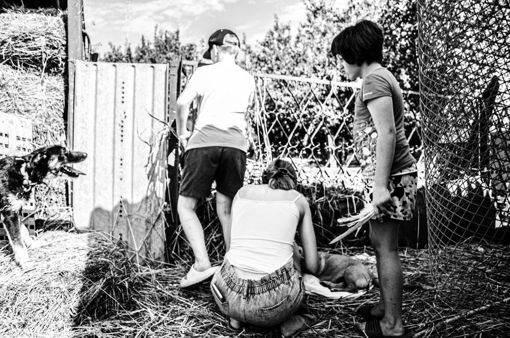 Photograph by Мая Боц