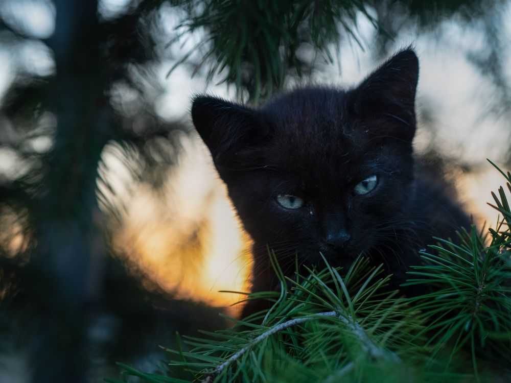 Photograph by Маргарита Ивкова