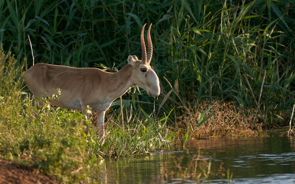 Photograph by Victor Krachkovsky