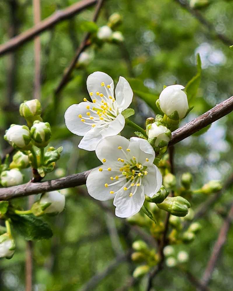Photograph by Людмила Григорьева