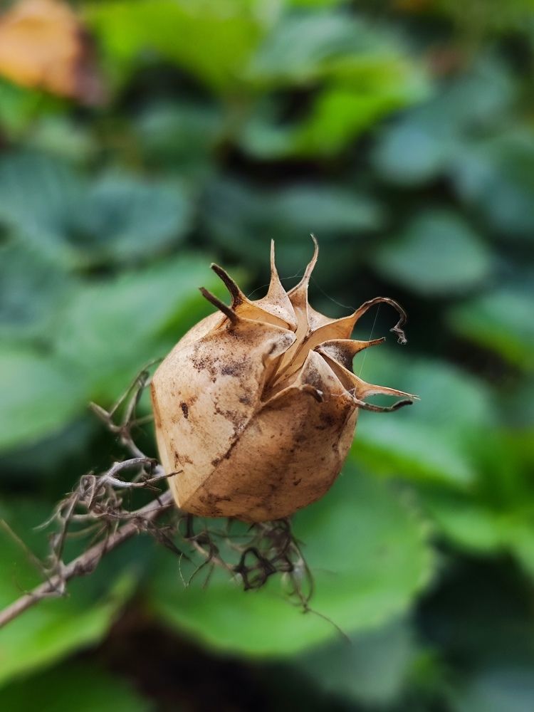 Photograph by Олеся Хижко