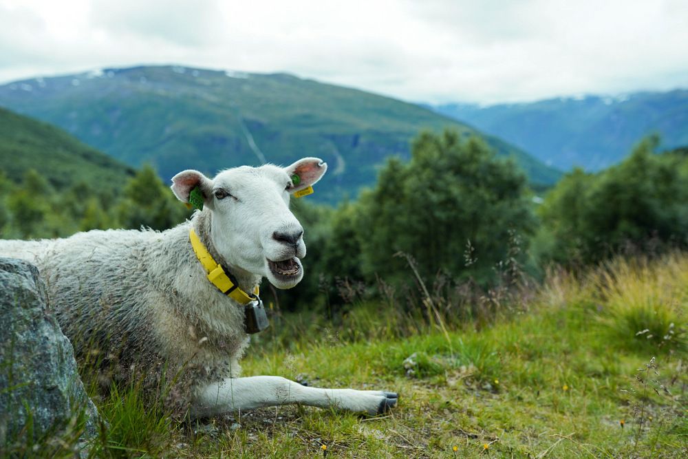 Photograph by Hanna Sauchuk