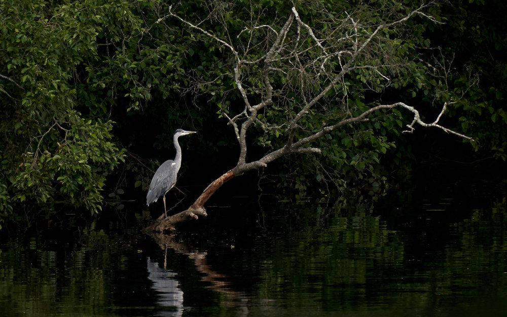 Photograph by Victor Krachkovsky