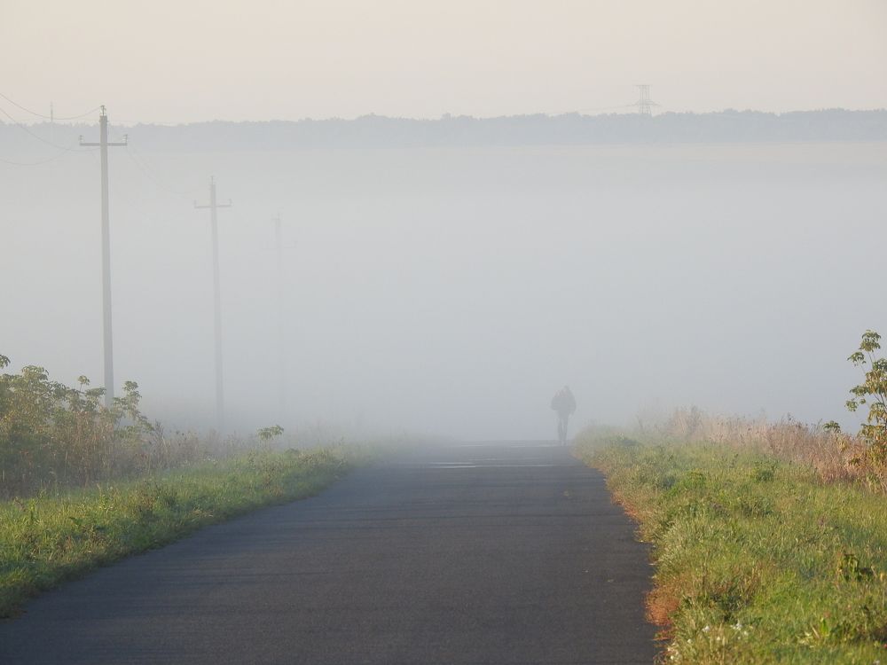 туманное утро.