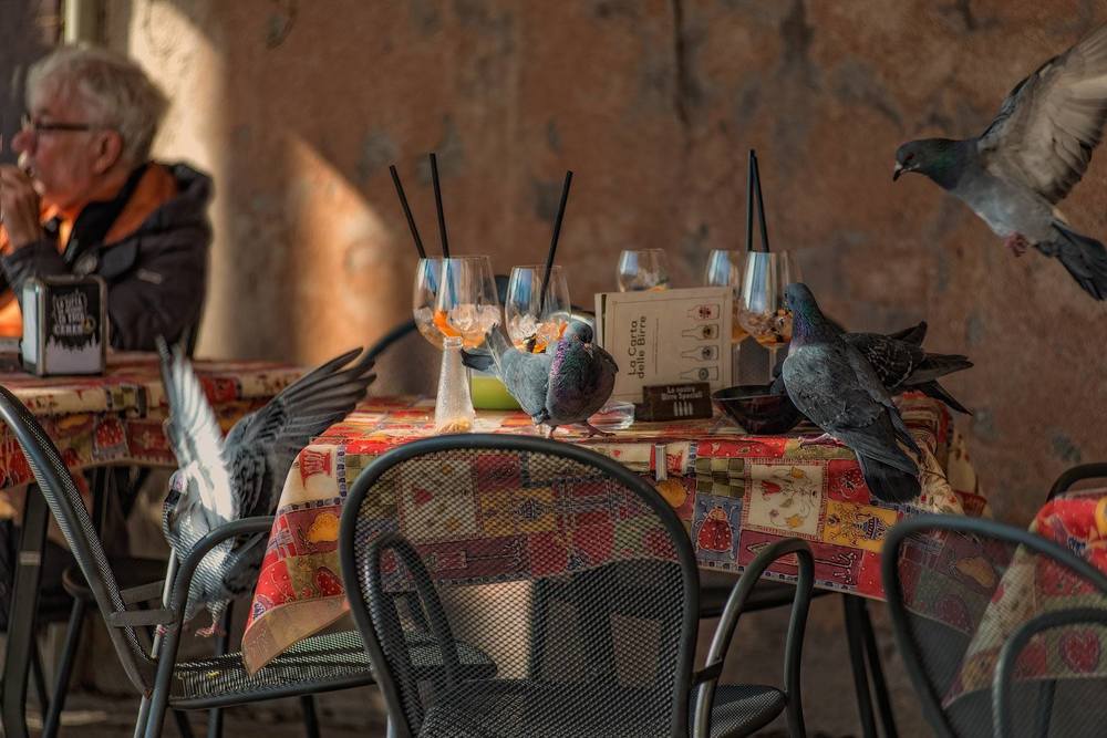 Photograph by Victor Ninestrong