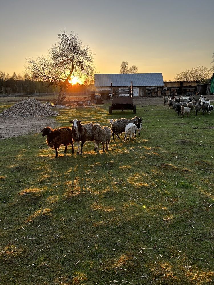 Фотография автора Татьяна