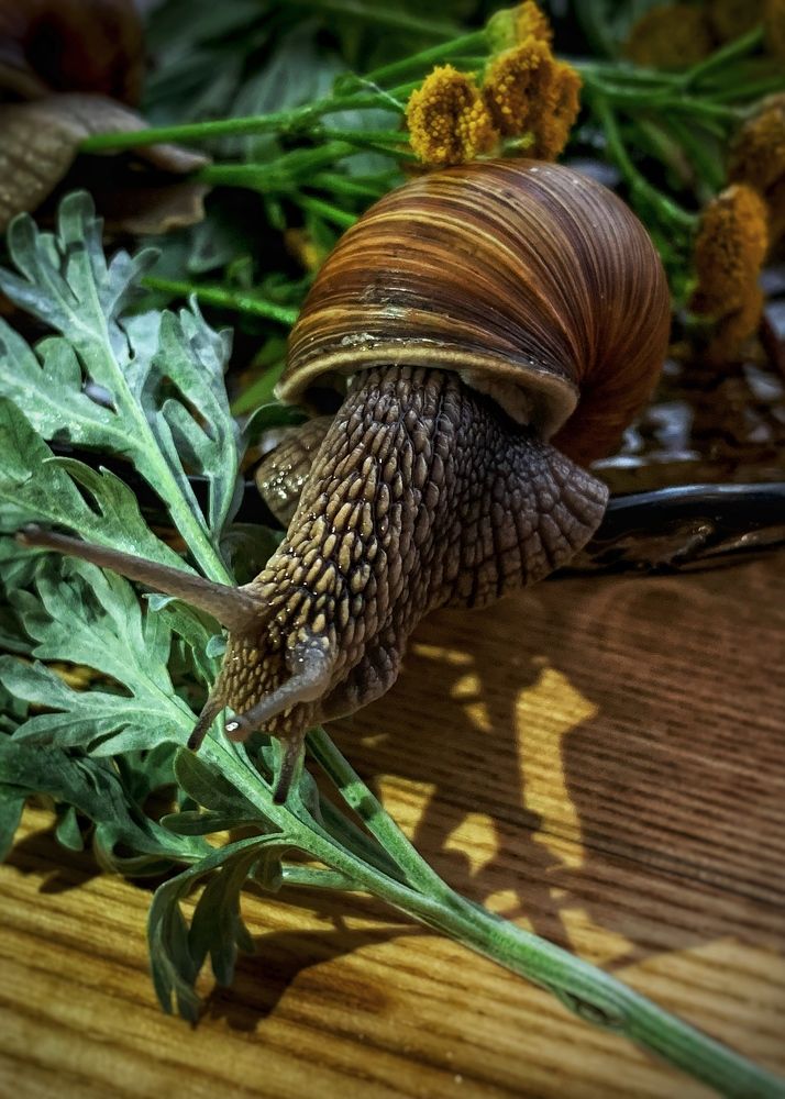 Photograph by Надежда Смирнова