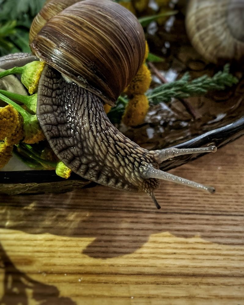 Photograph by Надежда Смирнова