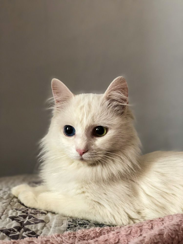 Photograph by Ирина Маркина