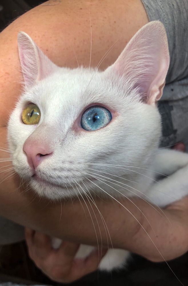 Photograph by Ирина Маркина