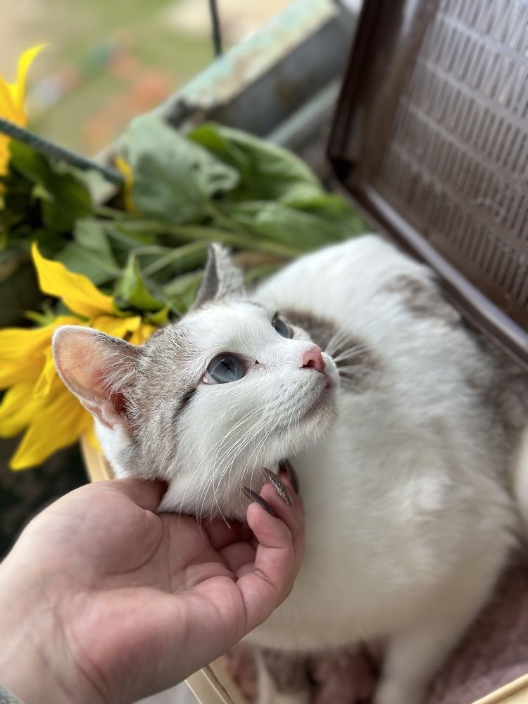 Photograph by Ирина Маркина