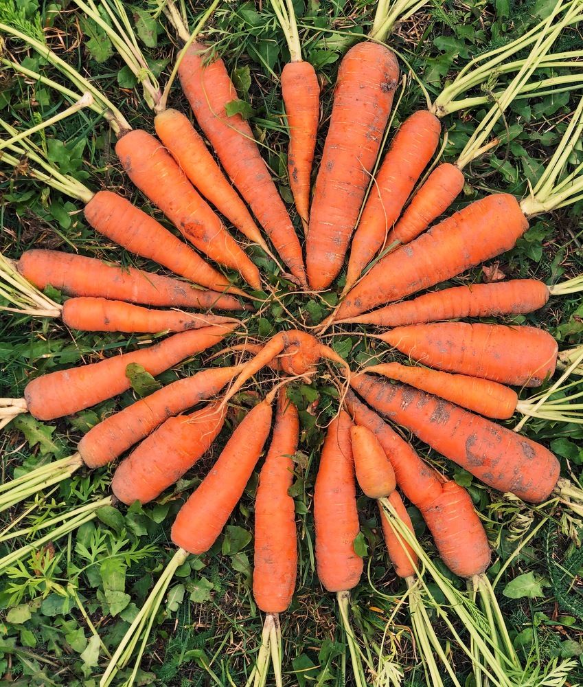 Photograph by Марина Георгиева