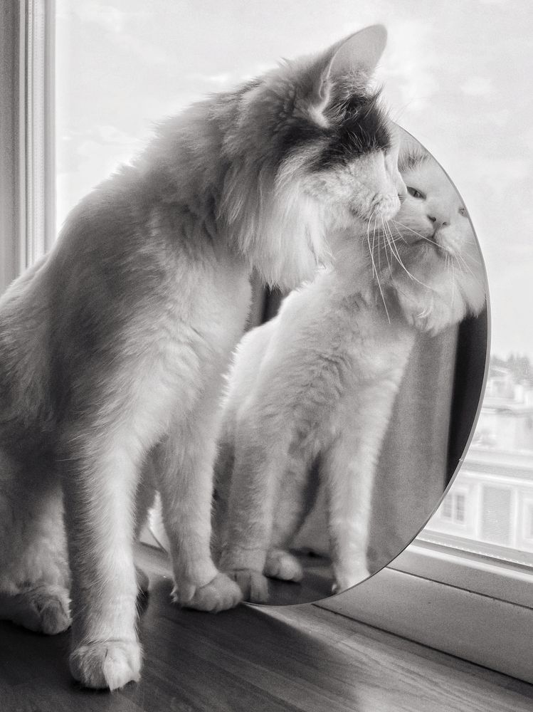 Photograph by Наталья Домненко