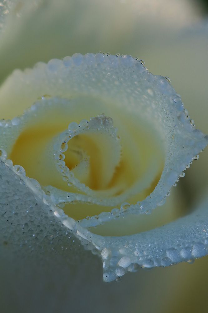 Photograph by Надежда Зайцева