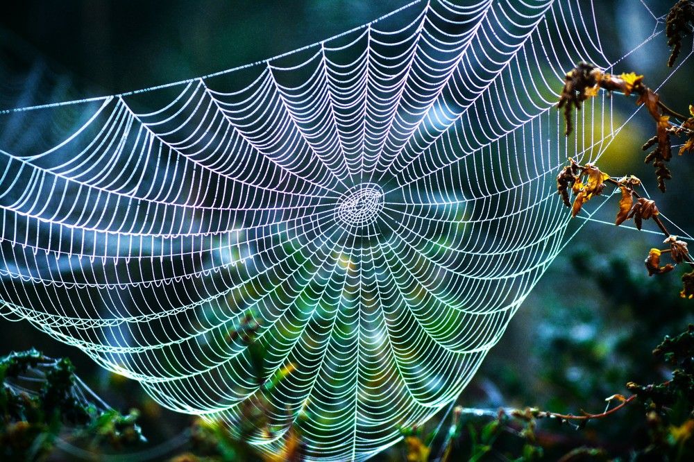 Photograph by Дмитрий Шумский