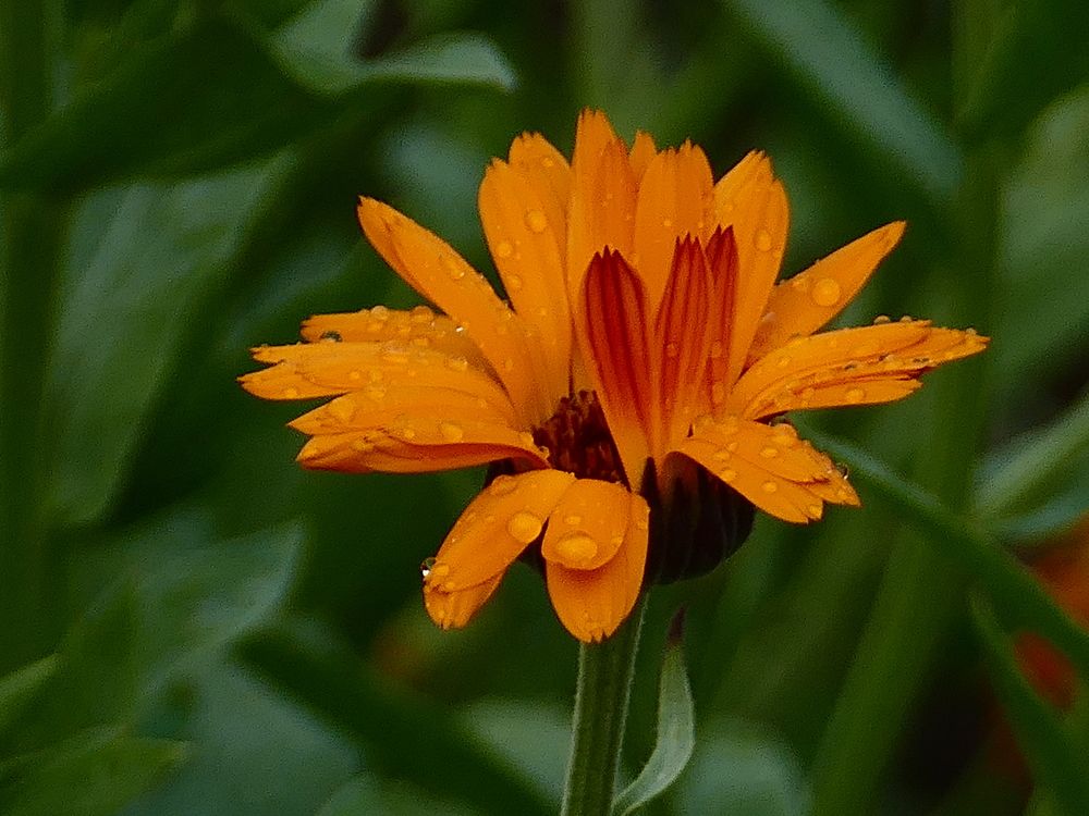 Photograph by Александр Кизим