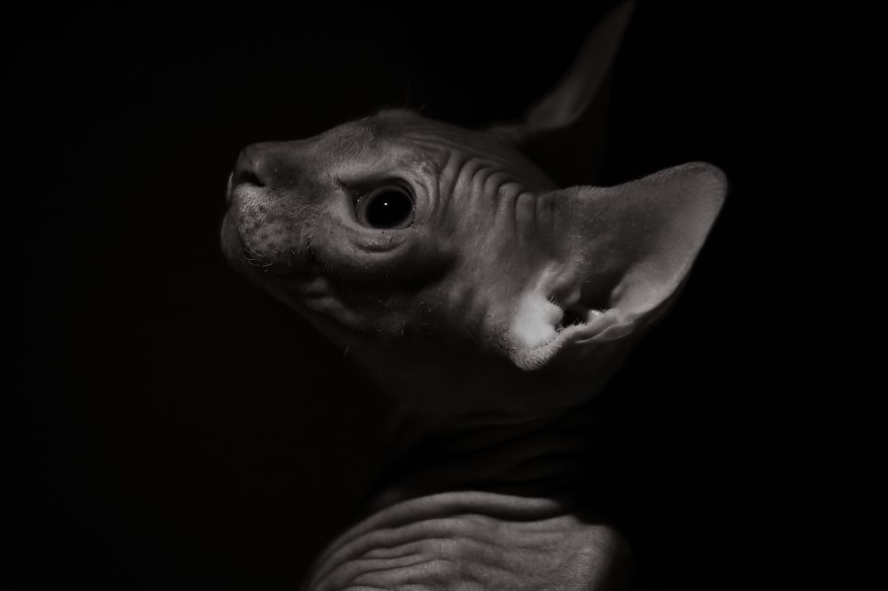 Photograph by Александр Хитров
