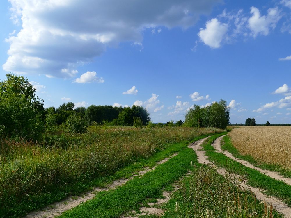 Photograph by Александр Кизим