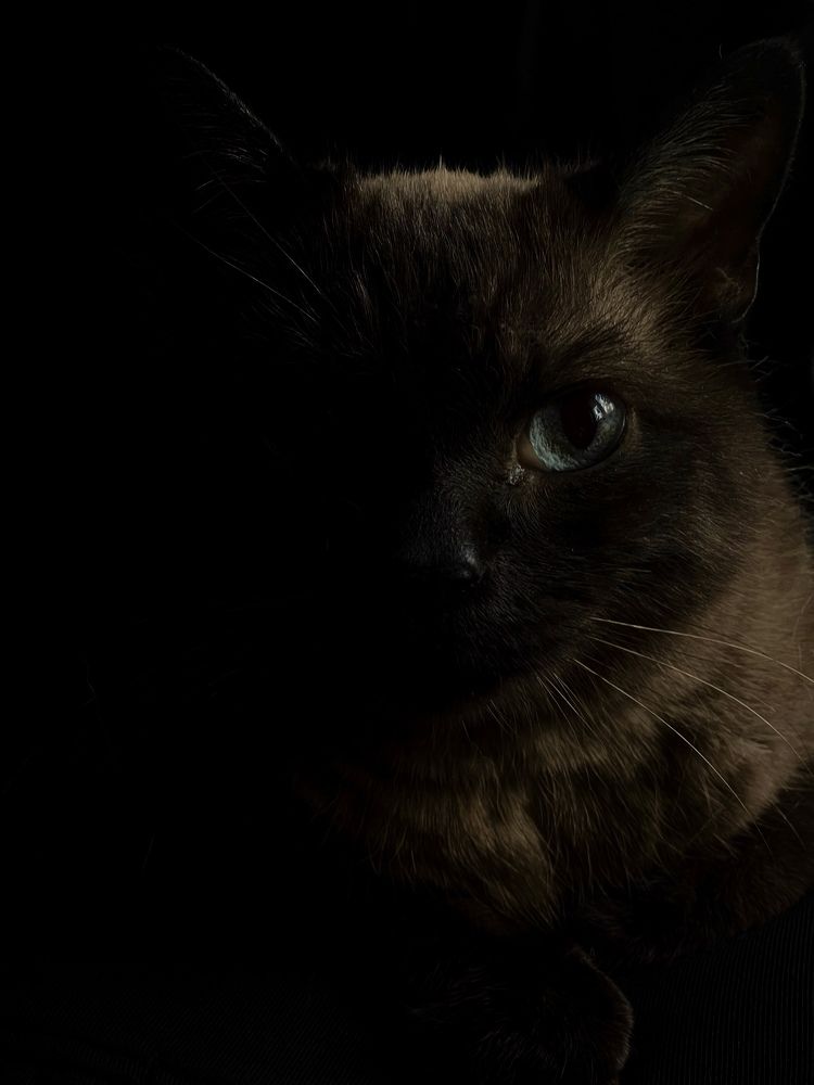 Photograph by Julia Mironenko