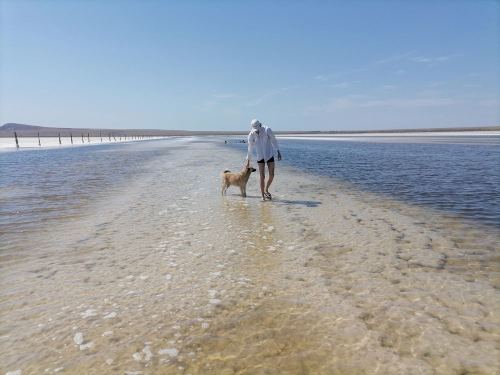 Photograph by Тамара Багровская