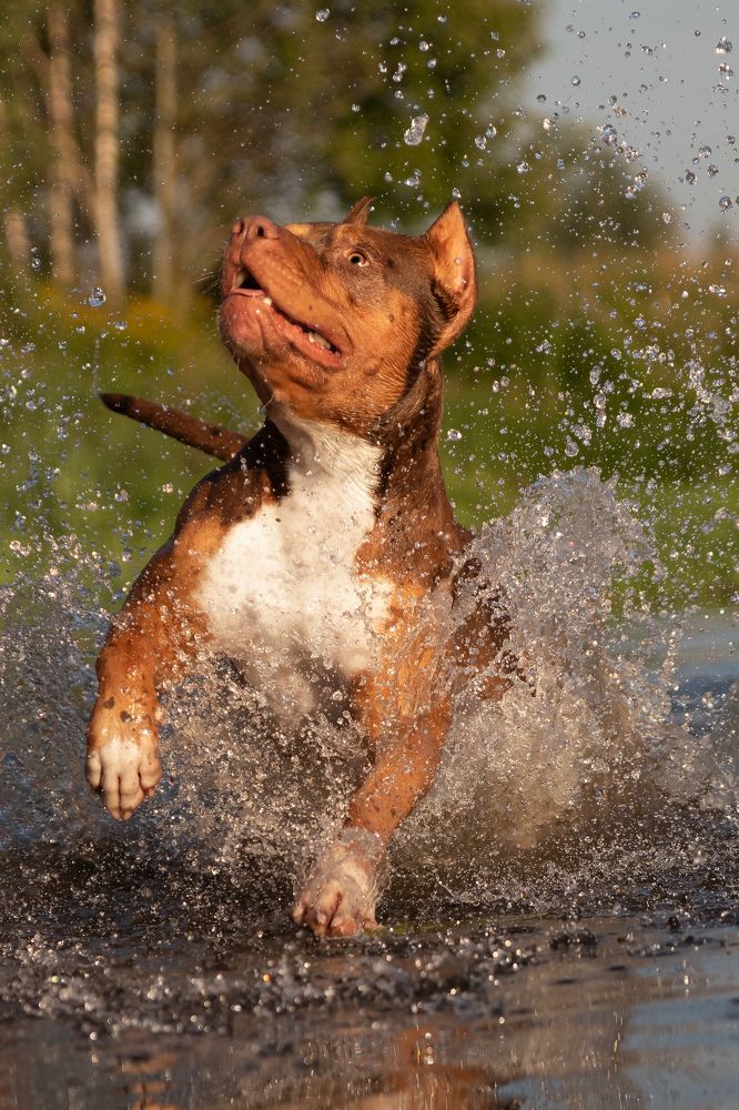 Photograph by Наталья Носова (Кучеренко)