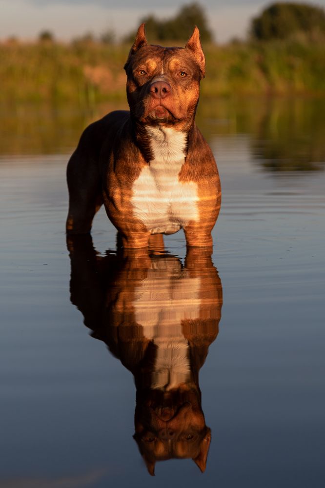 Photograph by Наталья Носова (Кучеренко)