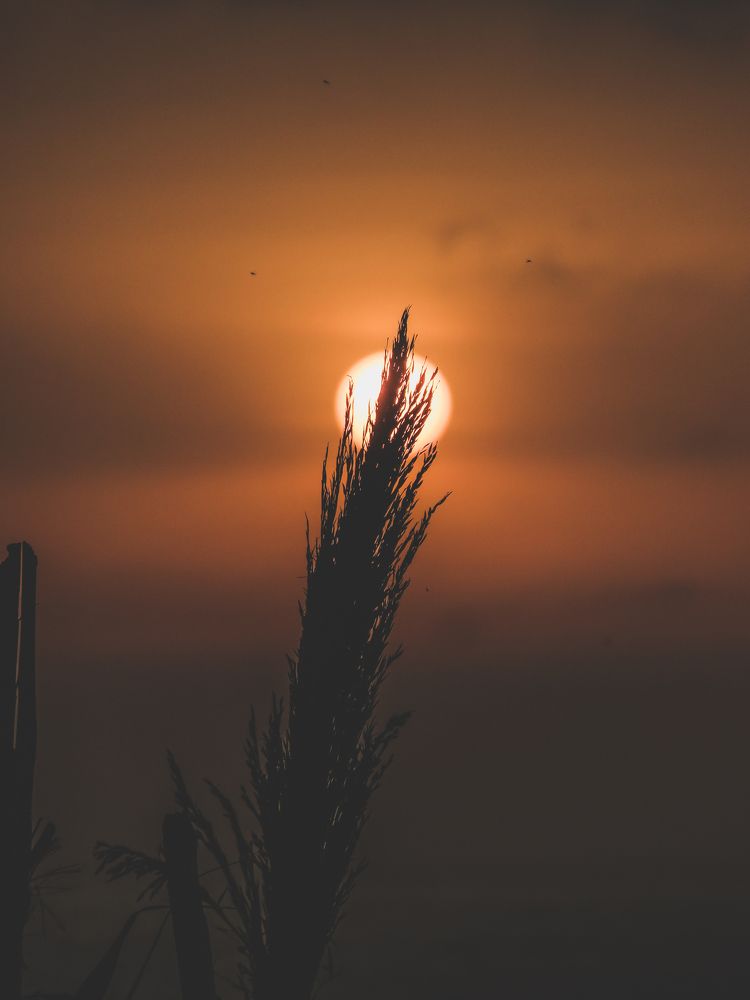 Photograph by moussaab