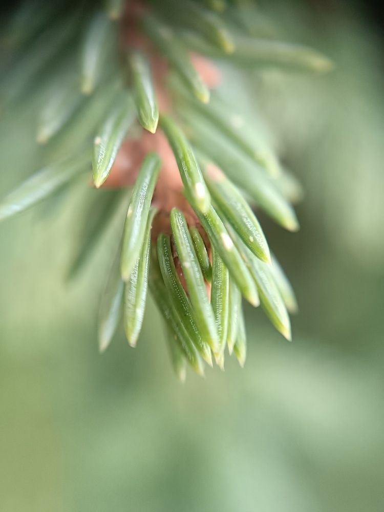 Фотография автора Ольга Малкова