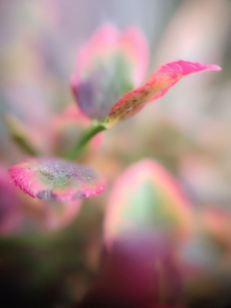 Фотография автора Ольга Малкова