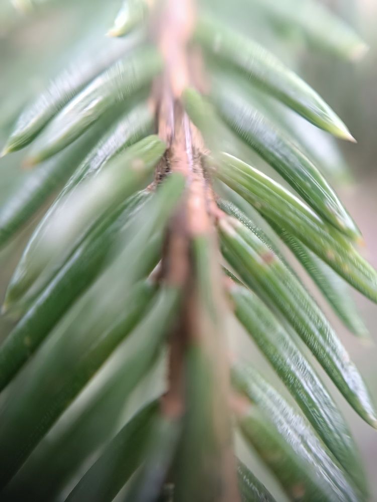 Фотография автора Ольга Малкова