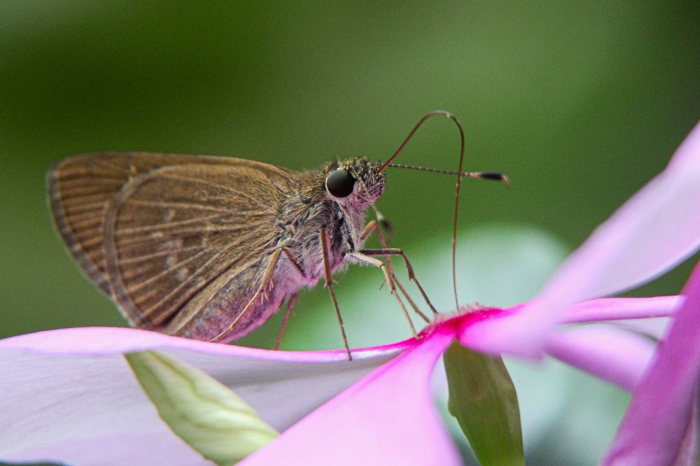 Фотография автора Delvis Romero
