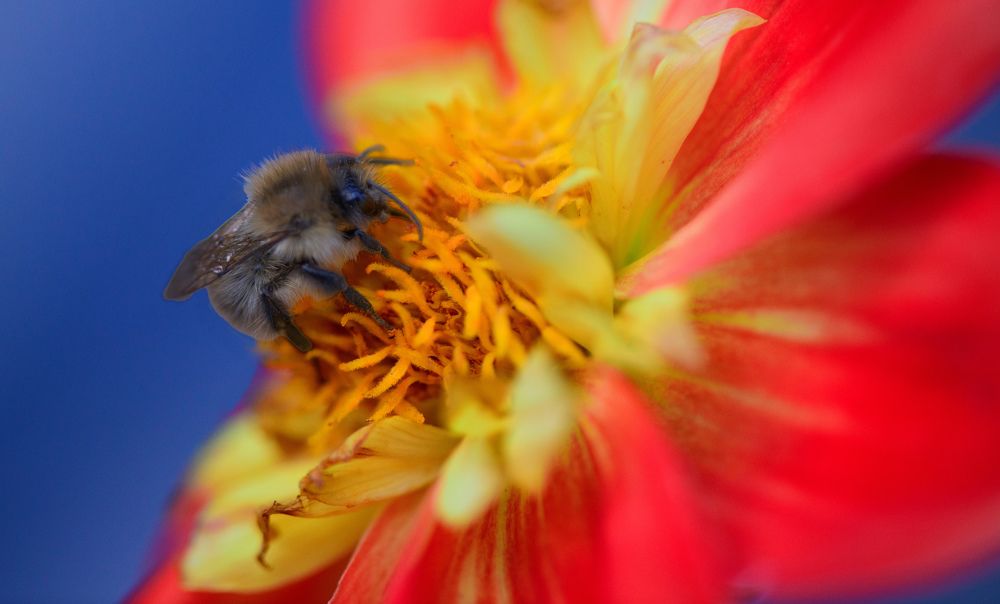 Photograph by Alexander