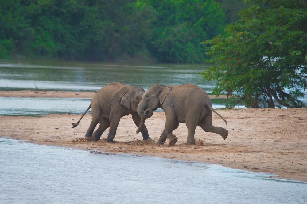 Photograph by Nadarajah Mauran