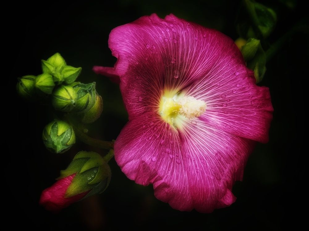 Photograph by Наталия Романова