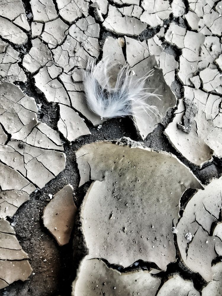 Photograph by Григ Маргарита