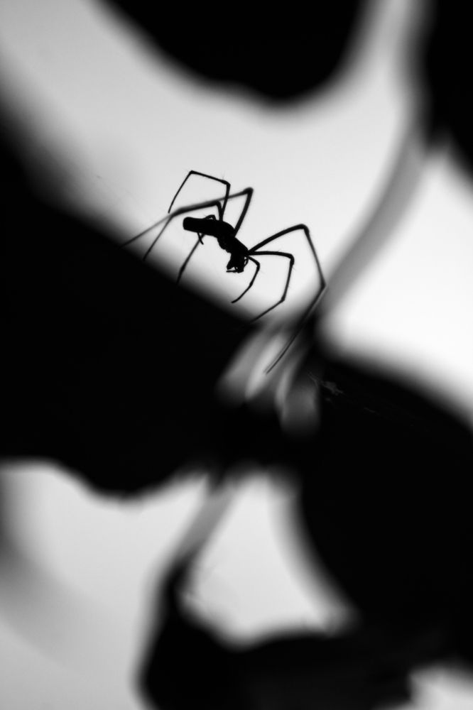 Photograph by Patryk George