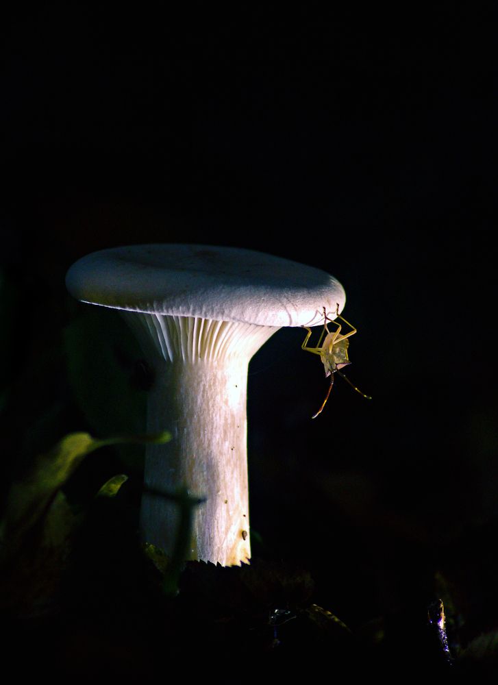 Photograph by Patryk George