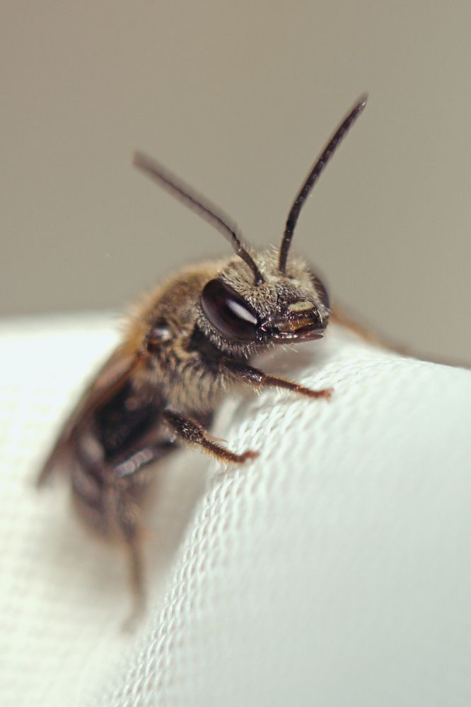 Photograph by Patryk George