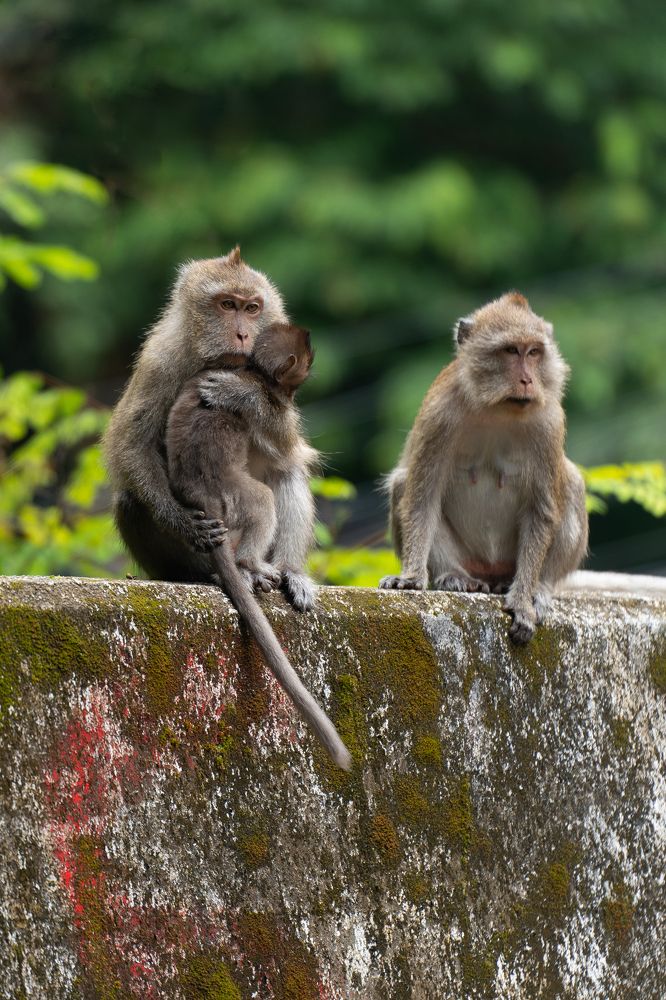 Фотография автора Светлана Зимина