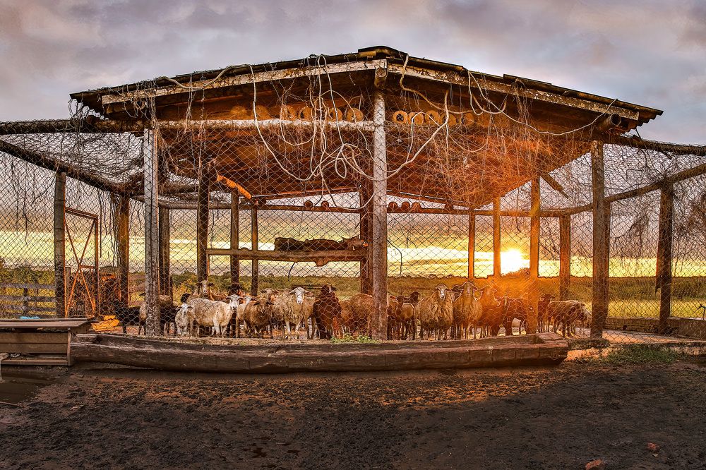 Photograph by RODRIGO MAZZOLA