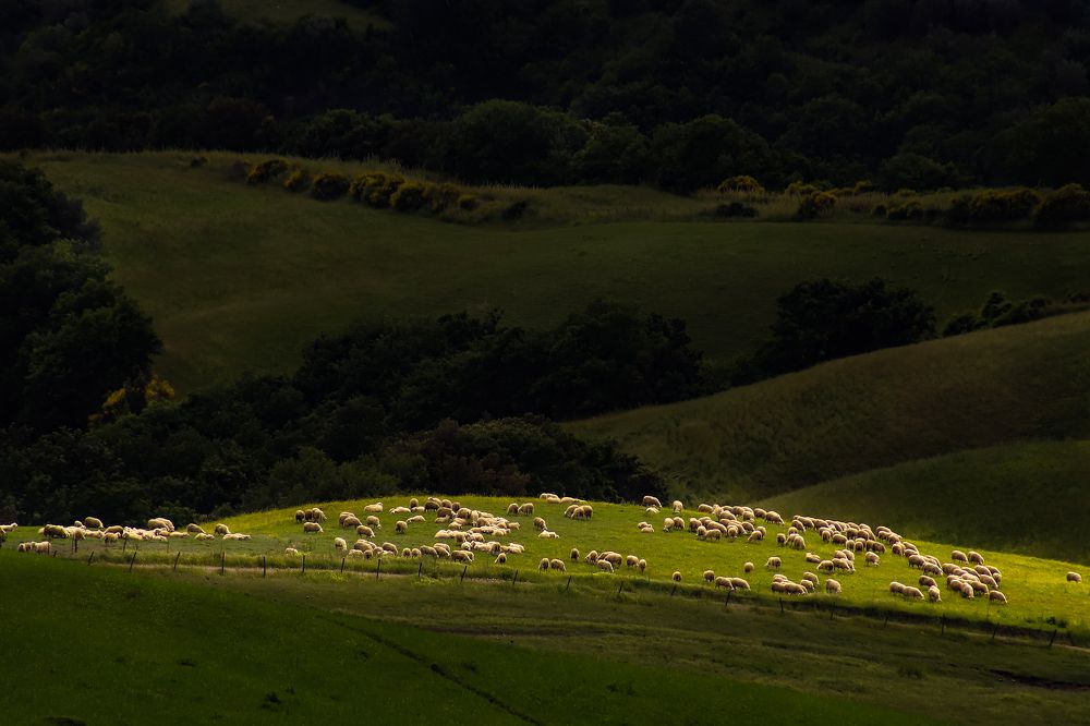 Photograph by RODRIGO MAZZOLA