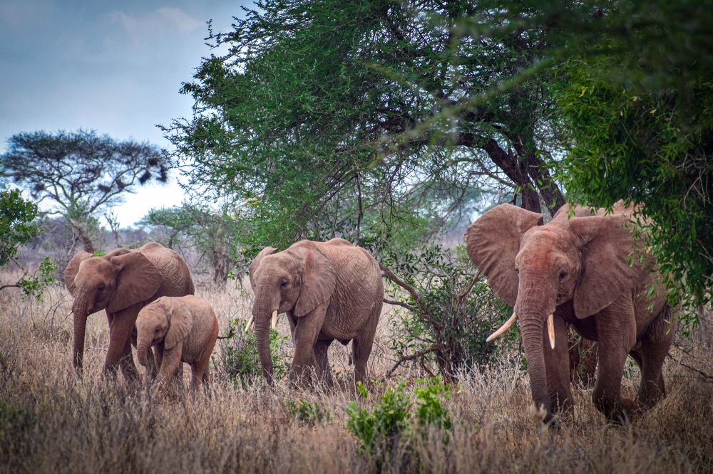 Фотография автора Mykhailo Drozdov