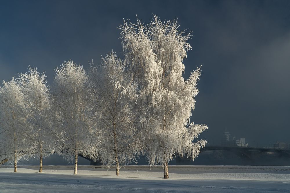 Фотография автора Михаил Тильпунов