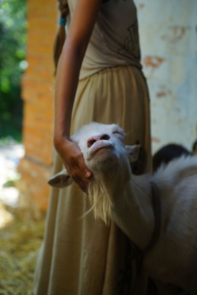 Фотография автора Светлана Зимина