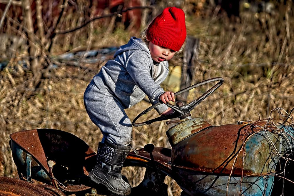 Photograph by A. G. Bisschop