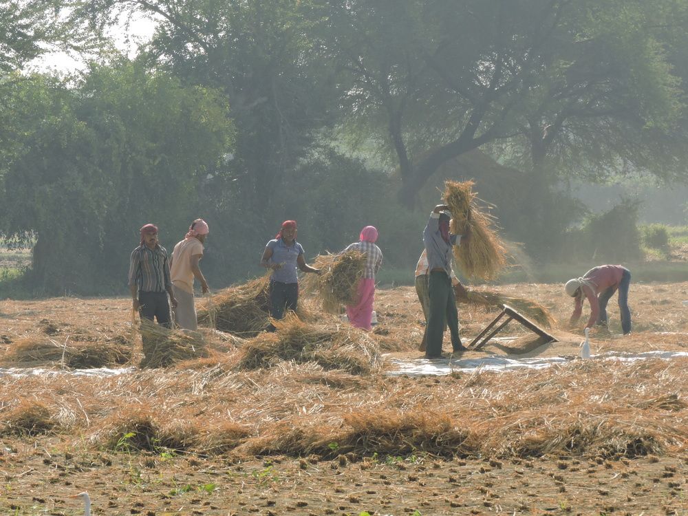 Photograph by Rajan Shah