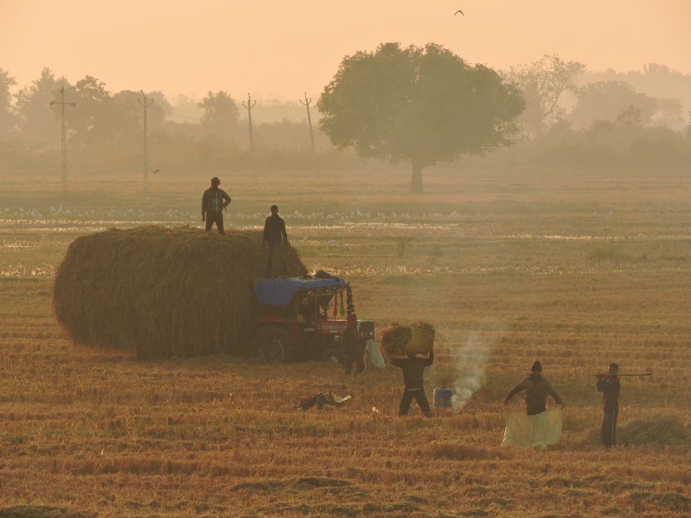 Photograph by Rajan Shah