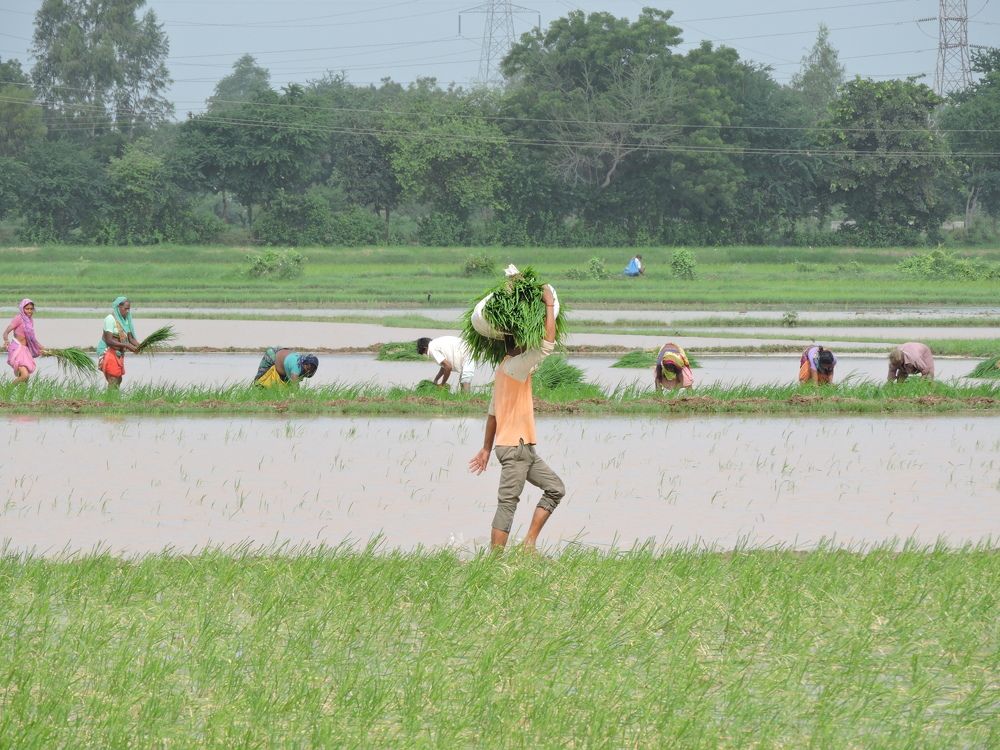 Photograph by Rajan Shah