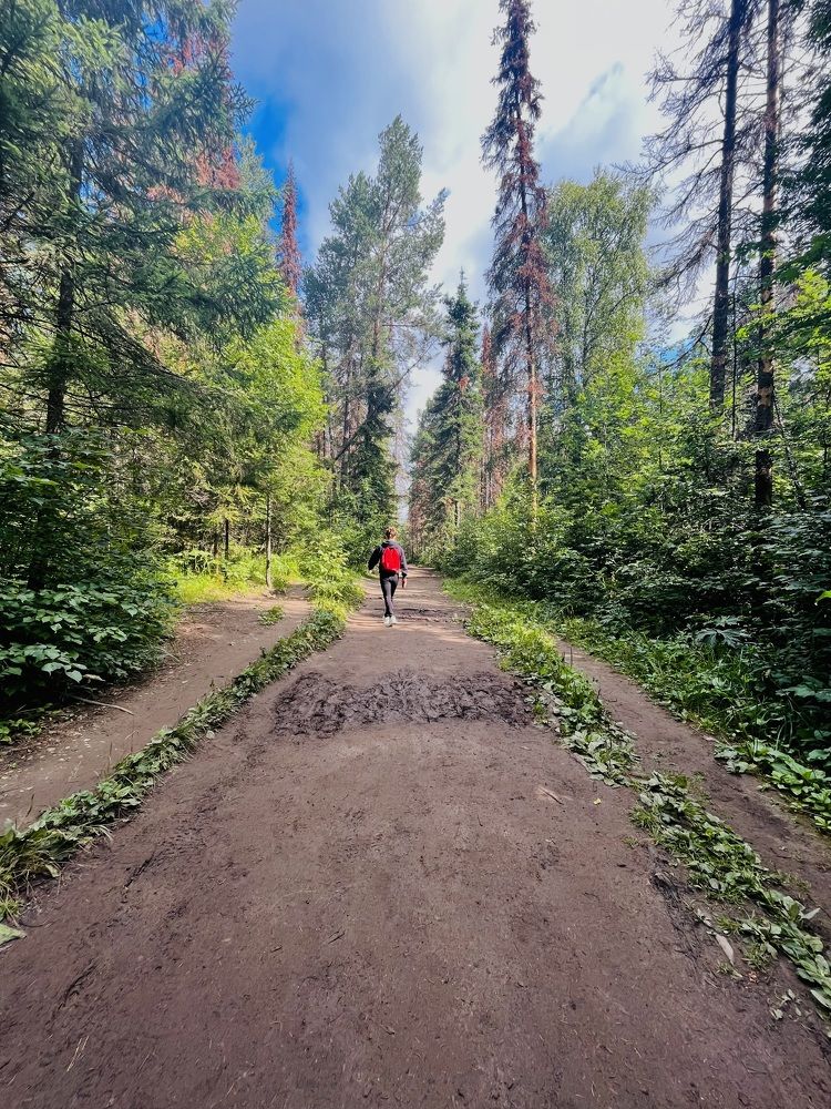 Photograph by Дарья Владимирова